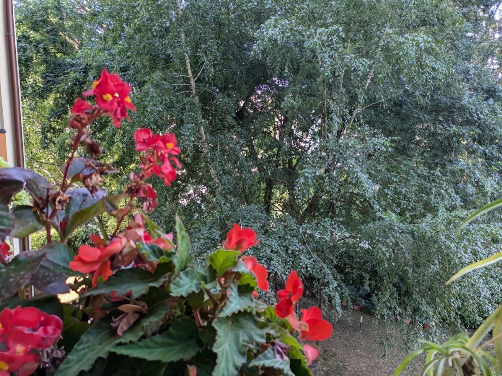 Appartamento Viale Puccini - Free Gated Parking - 3 Minutes From Center Lucca Exterior foto